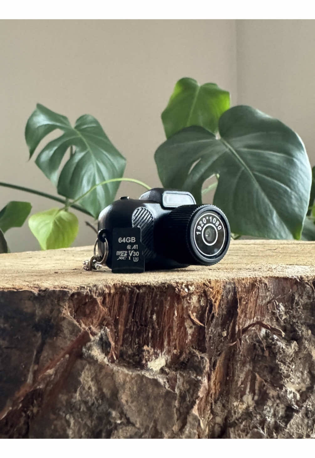 The little camera will make your christams that little bit better.  Follow intagram link in bio to get yours 📸 #microcamera #microcameras #camera #smallstuff #pets #worldsfirst #worldssmallestcamera #treasure #micro #winter #christmas #presents #wow