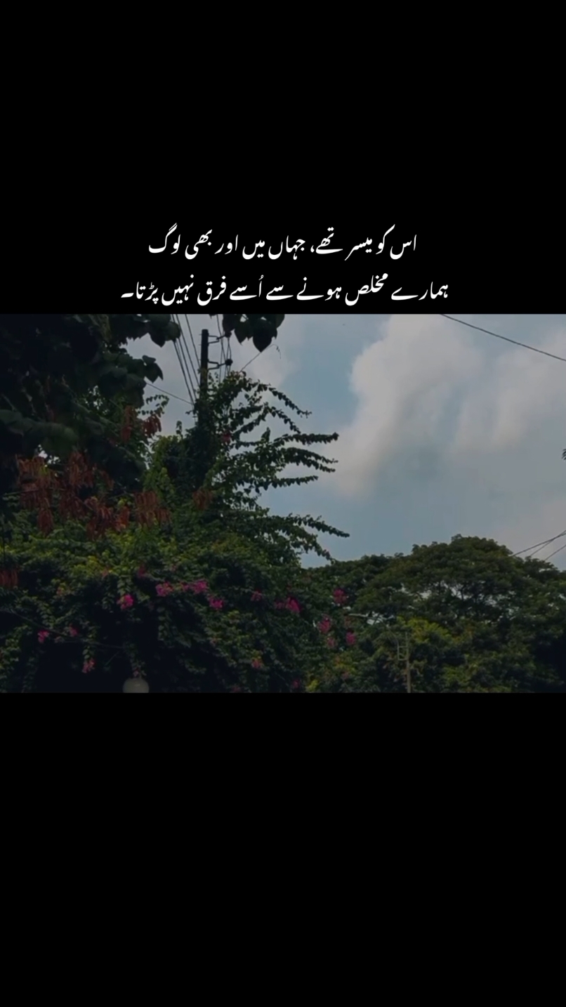 VIEWS PROBLEM ❤️‍🩹😭 . . . . #foryou #foryoupage #treanding #trend #explore #sami_lines #growmyaccount #tiktokpakistan #sad #ghum #udas #urdupoetry #sadpoetry #urdushayari #sadshayari #viralvideo 