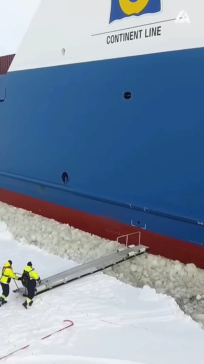 Scary north sea 😱🥶 the big ship container in the world #sea #northsea #scary #bigship #ship #fyp 