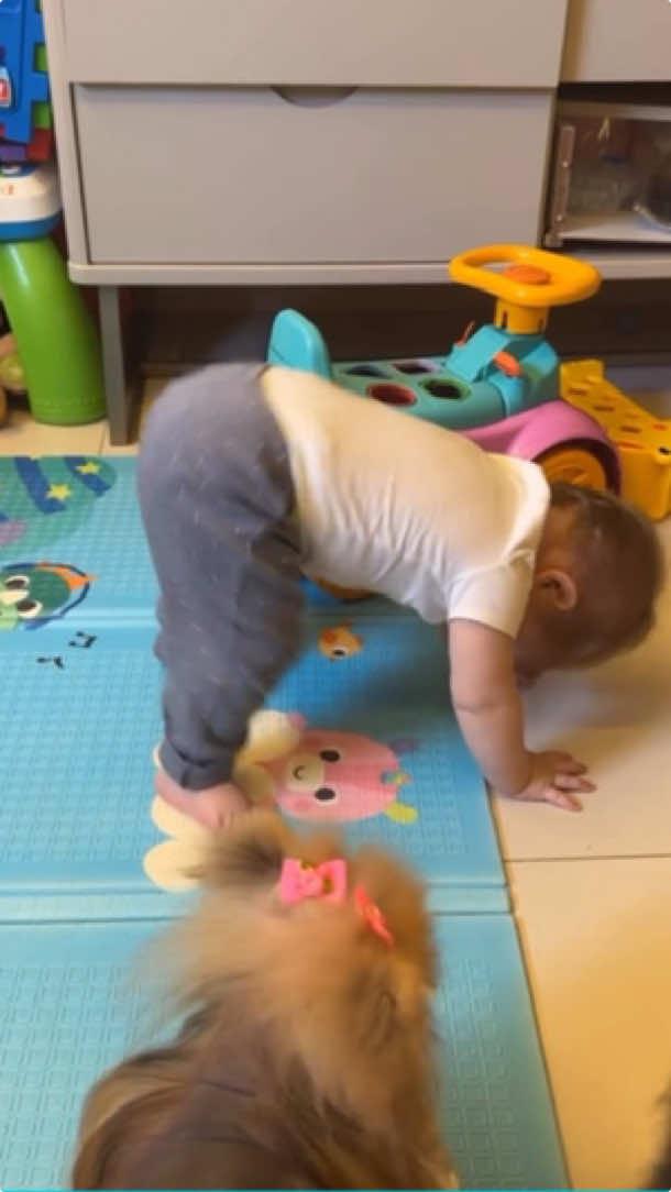 #funny #baby #funnymoments #fun #funnybaby #laugh #foryou #viral #funnyvideo #fyp #kids #cactustoy funny babise running #bab #babylove #vlogs #babyfashionista #baby #fyp #ootdbaby #trending #song #babylove #typ #babyvideos #foryou #babylove #cutebaby #trendingvideo #The #babies #c #ForYouTrack #viraltiktok #vlogs #babiesoftiktok #babiesoftiktok #cutebabies #funnyvideos #ha #funnybaby #TikTokfunny #fyp #babiesfunny #TikTok #viral#c #lovebaby #foryoupage #shorts #video #cute #UnitedState#fyp#baby #babygirl #babyshower#babyboy #babyboy #babylove #babyfashion #cutebaby #newborn #newbornphotography #familytime #parenting #toys #babyshop #babymodel #babyyoda #babylights #babyboomer babyblues #babyfever #babyclothes # #babystyle #babyfood #babydog #babybrother #babypink 