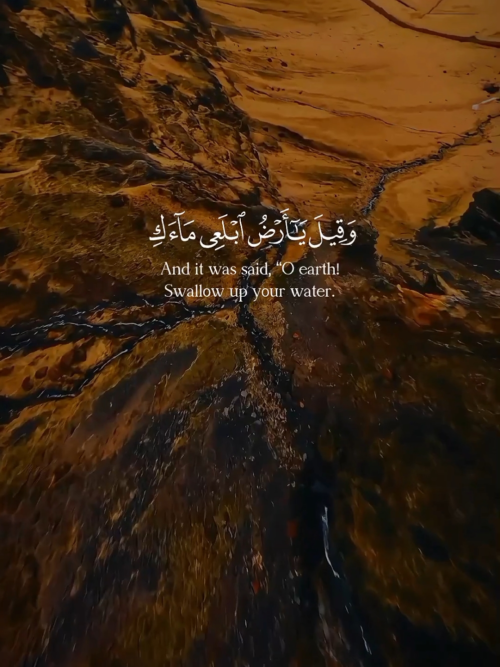 #وقيل_يا_أرض_ابلعي_ماءك_ويا_سماء_اقلعي #سورة_هود #قران #رعد_الكردي #تلاوة_خاشعة #قوالب_قران_كريم #تلاوة_خاشعة_صوت_يدخل_قلب #قوالب_كاب_كات 