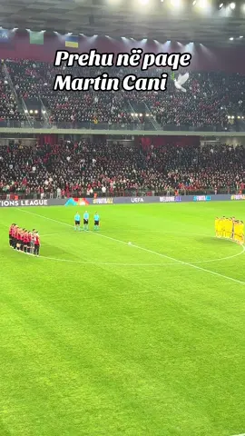 Moment dritherues per Martin Canin  #albania #airalbania #martincani