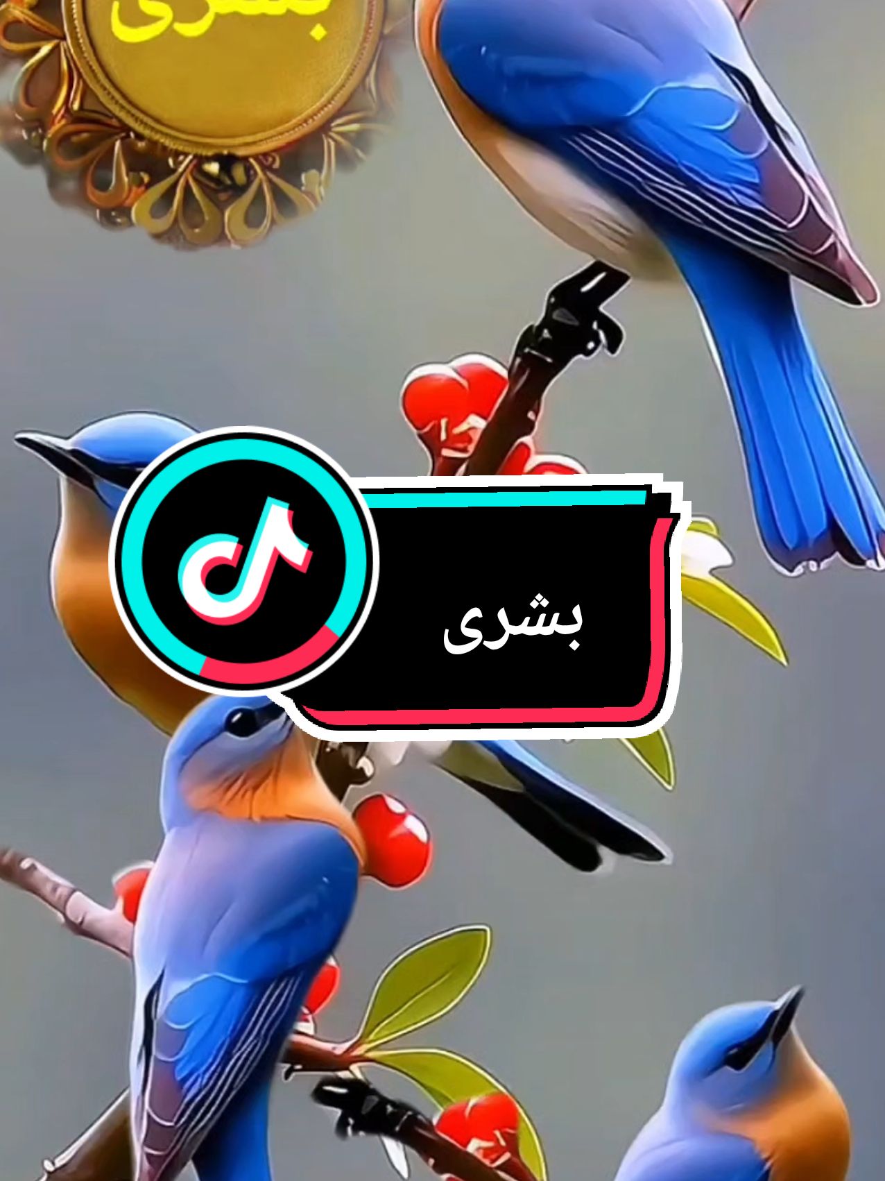 الرد على @bouchrarhouat142 إسم بشرى #اكسبلور #dúo #fyp #goviral #bdtiktokofficial #VoiceEffects 