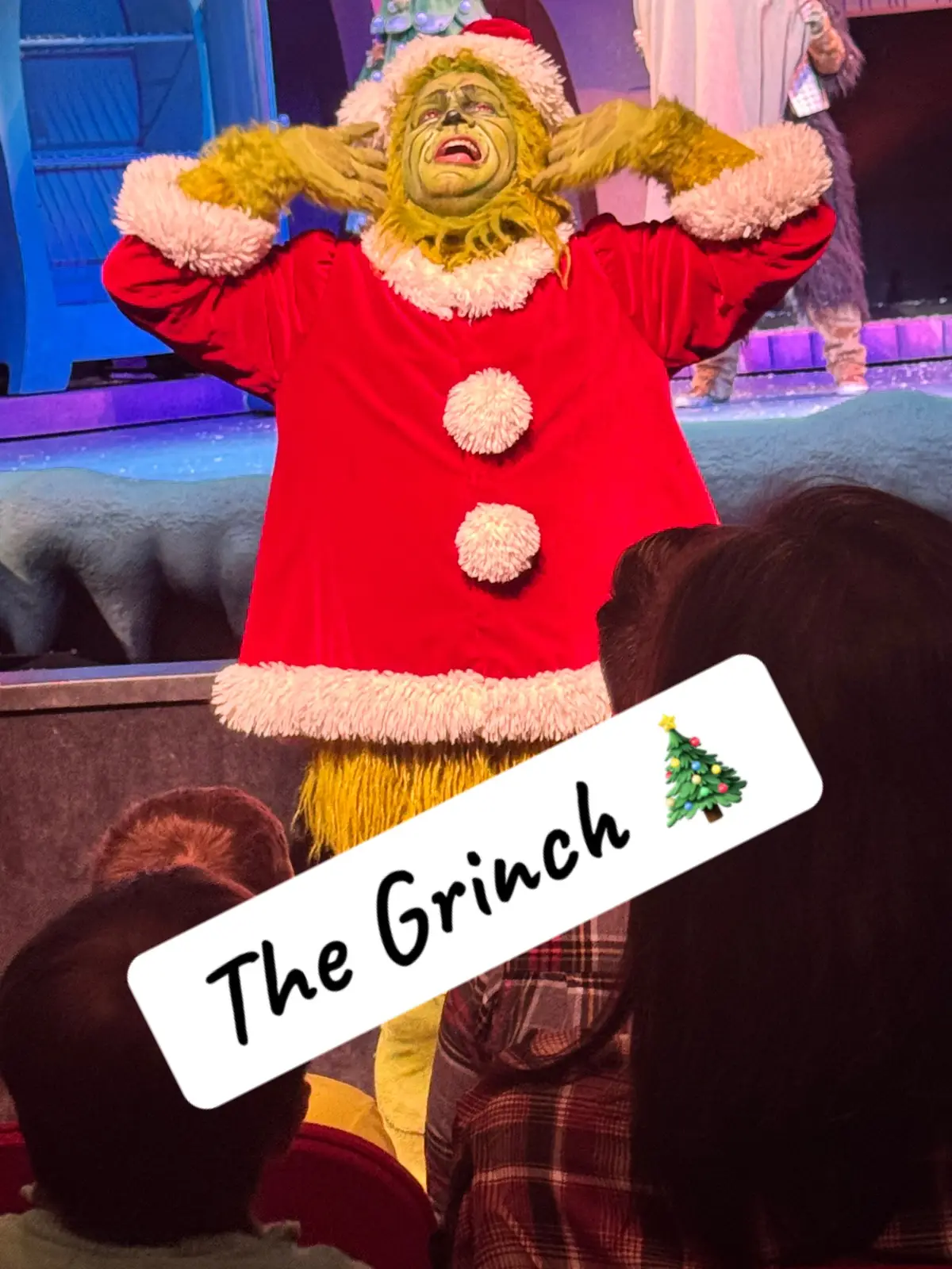 The Children’s Theater out on an incredible performance! The Grinch stole Christmas and out hearts! ❤️ #thegrinch #5photoschallenge #MomsofTikTok #creatorsearchinsights #over40