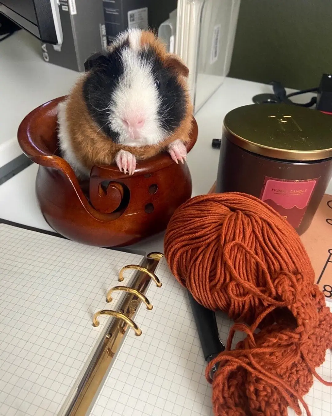 Do you have any furry friends that keep you company while crafting? Tell us about them! 🐹✨   Totoro and Eevee have made themselves right at home with our crochet favorites. These little helpers know how to make every project extra fun!   Featured items: 🍵 Dark Brown Mango Wood Yarn Bowl (w/ Memento yarn in Copper) 🧶 Dishie Yarn (Friendship Bracelet) 🧺 Learn to Crochet Dishcloths Kit (Eevee is using it as a throw blanket 😂)