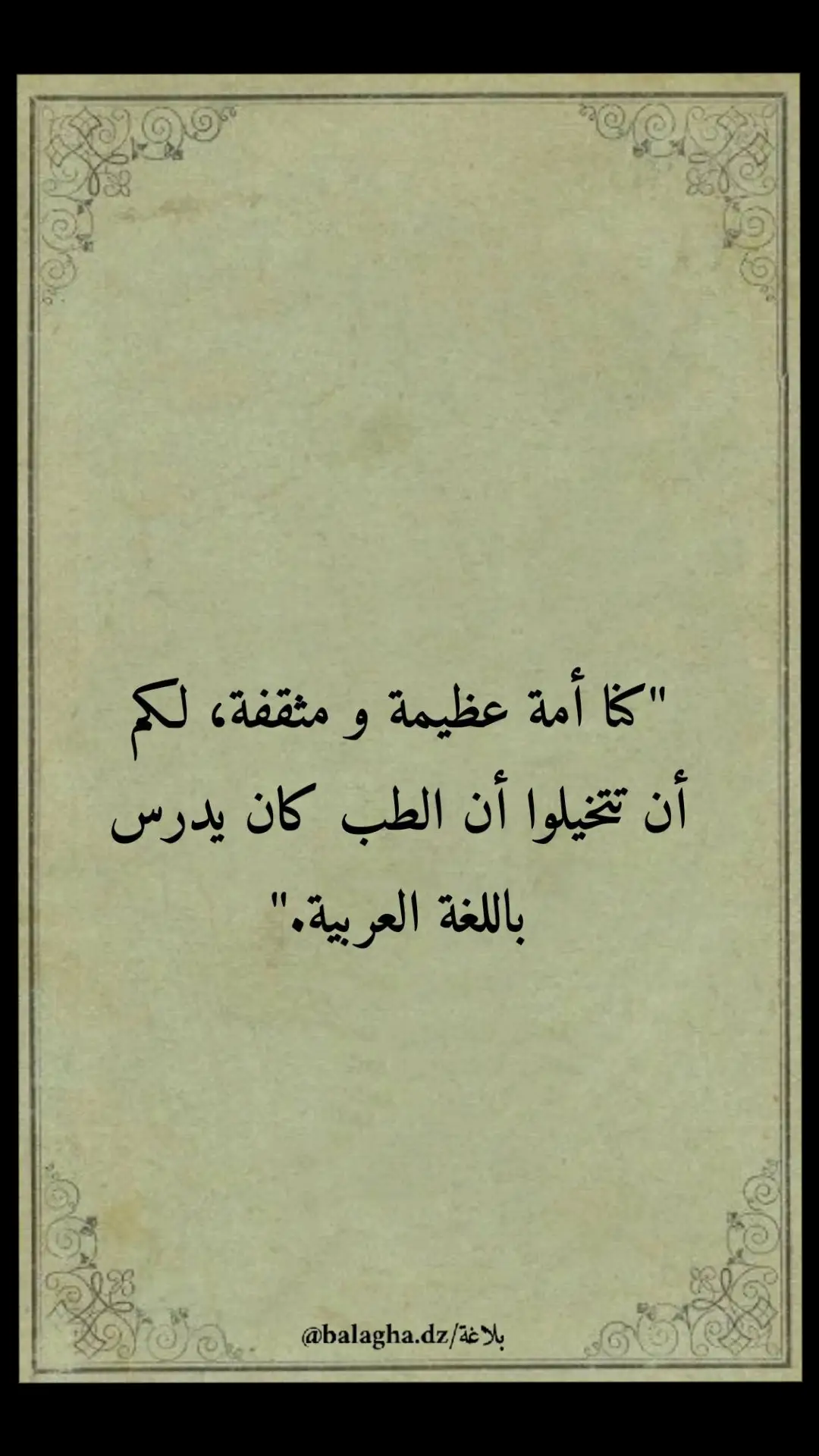 #عرب #اللغة_العربية #بلاغة #اقتباسات #شعر #تاريخ #كتب #فلسفة #الأندلس 