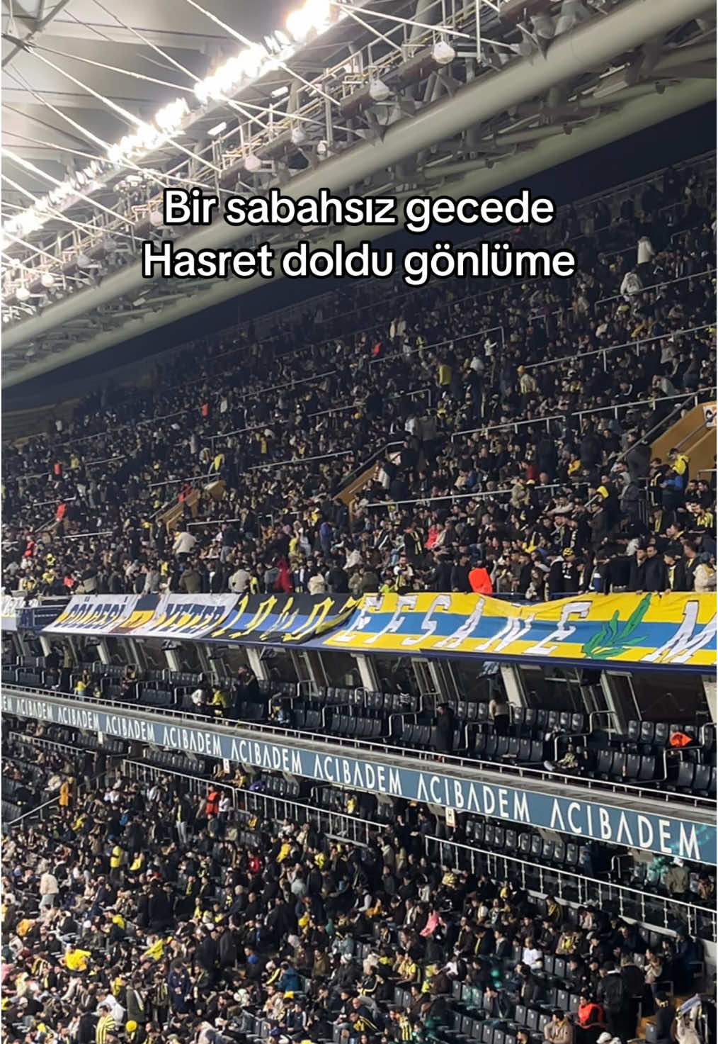 #fenerbahçe #gfb #flypシ #kanarya #sarılacivert #kesfet #1907 