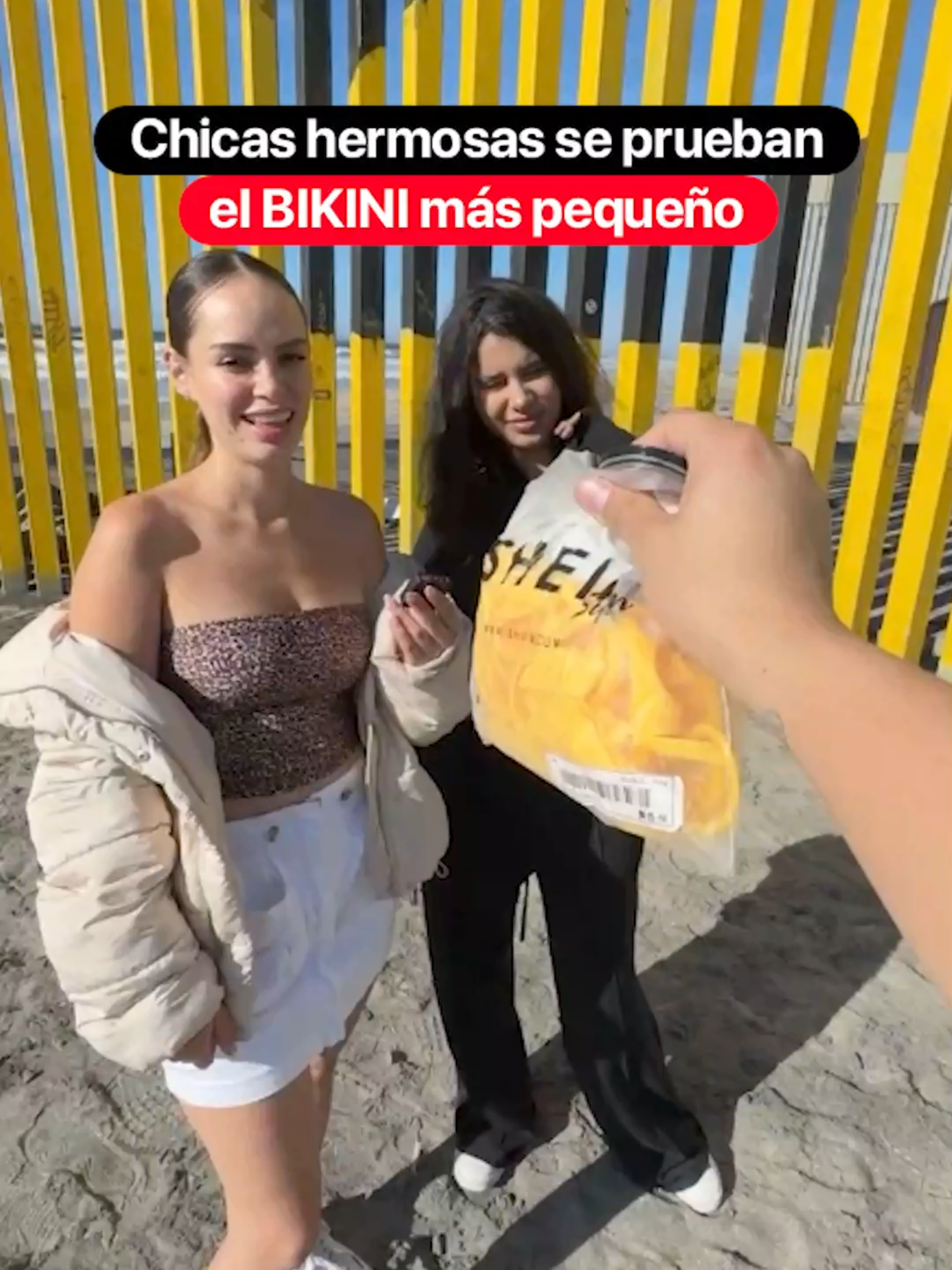 Chicas hermosas se prueban el BIKINI más pequeño 🤩 @valentinapazofficial & @prisilaespatola