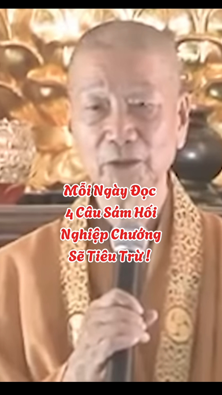 Sám hối 4 câu mỗi ngày #loiPhatday #ThichTriQuang #thongdiepcuocsong #nhungcaunoihay #xuhuongtiktok 