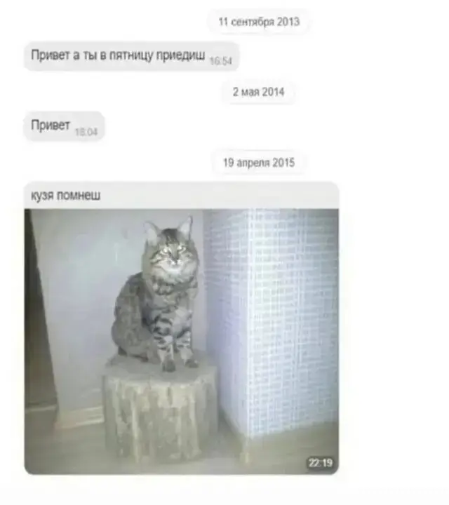 #кузя