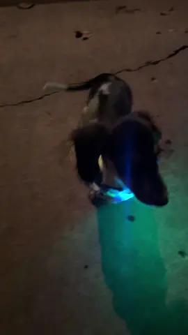 #MomsofTikTok 