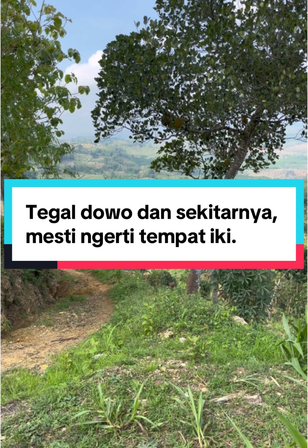 #najwafermak #fermaktegaldowo #tegaldowo_gunem_rembang #fypシ゚viral #fyp #aesthetic #rembang24jam 