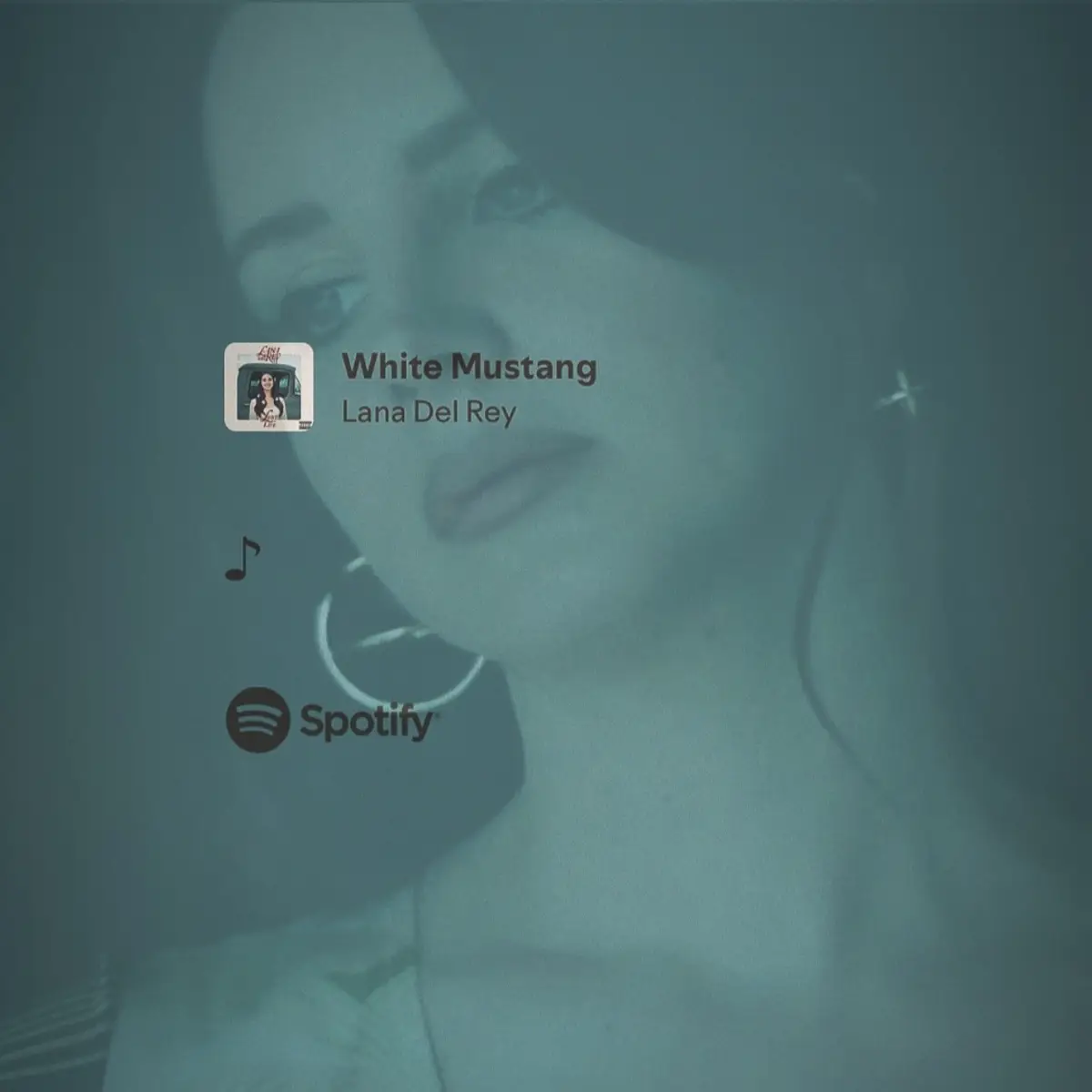 the whistling part… 🪽 #lanadelrey #lanadelreysongs #lanadelreyfans #whitemustang #fyp #instrumental #musictok #saidyourawhitemustang #whistle #dream #pop #musicfans #eyecontact #lanatok #slowed #reverb #edit