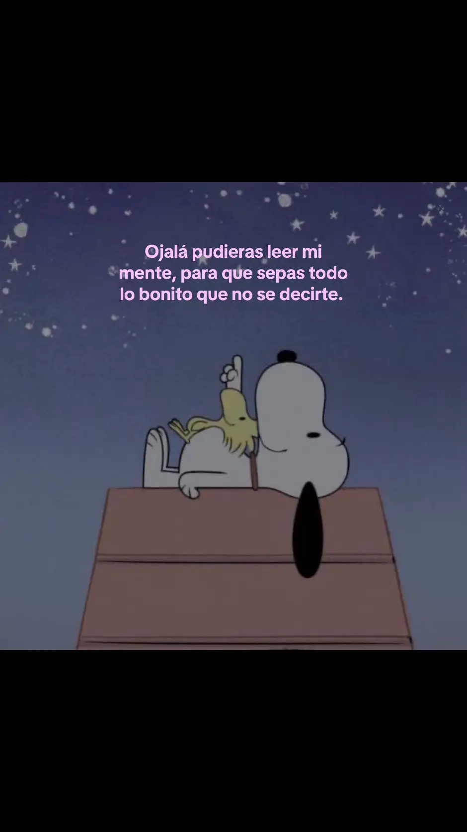 #snoopy #amor #texto #you #pageforyou #zxybca #fyyyyyyyyyyyyyyyy #paratiiiiiiiiiiiiiiiiiiiiiiiiiiiiiii #parejas #dedicar #woodstock #vral 