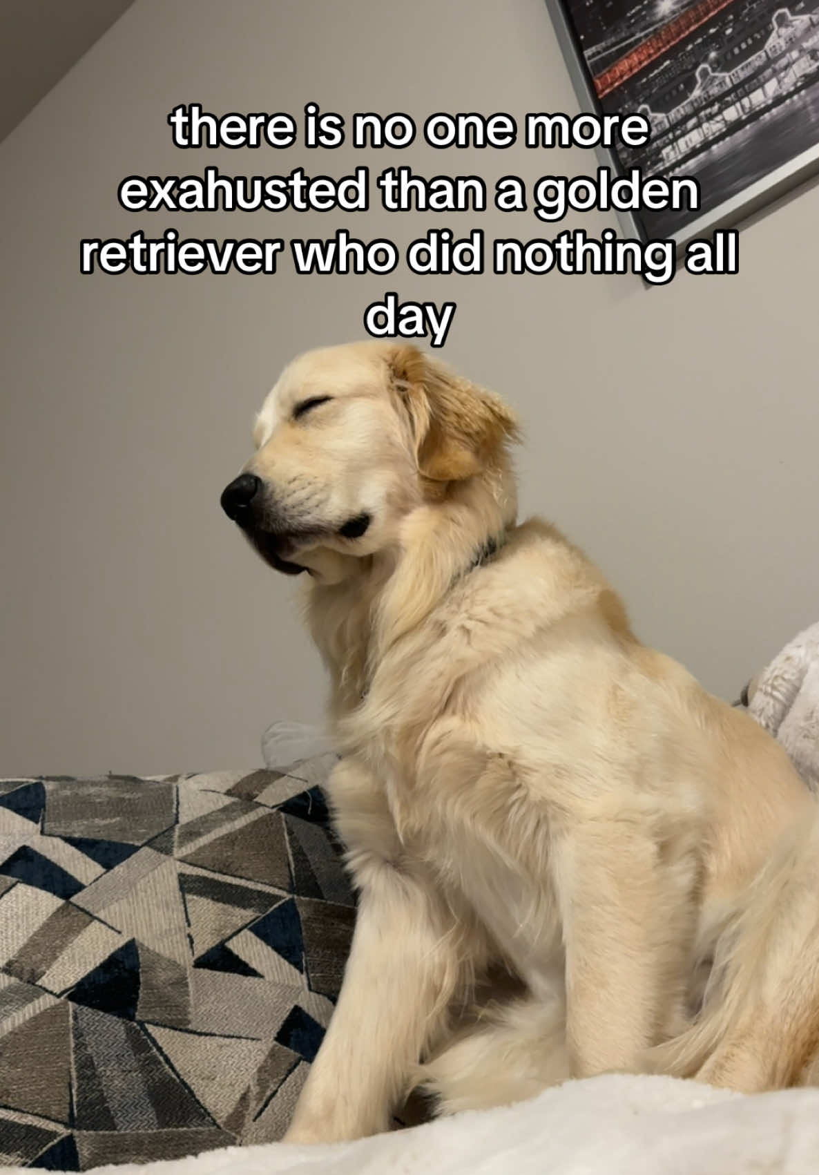he did eat 6 sticks so i guess he was productive