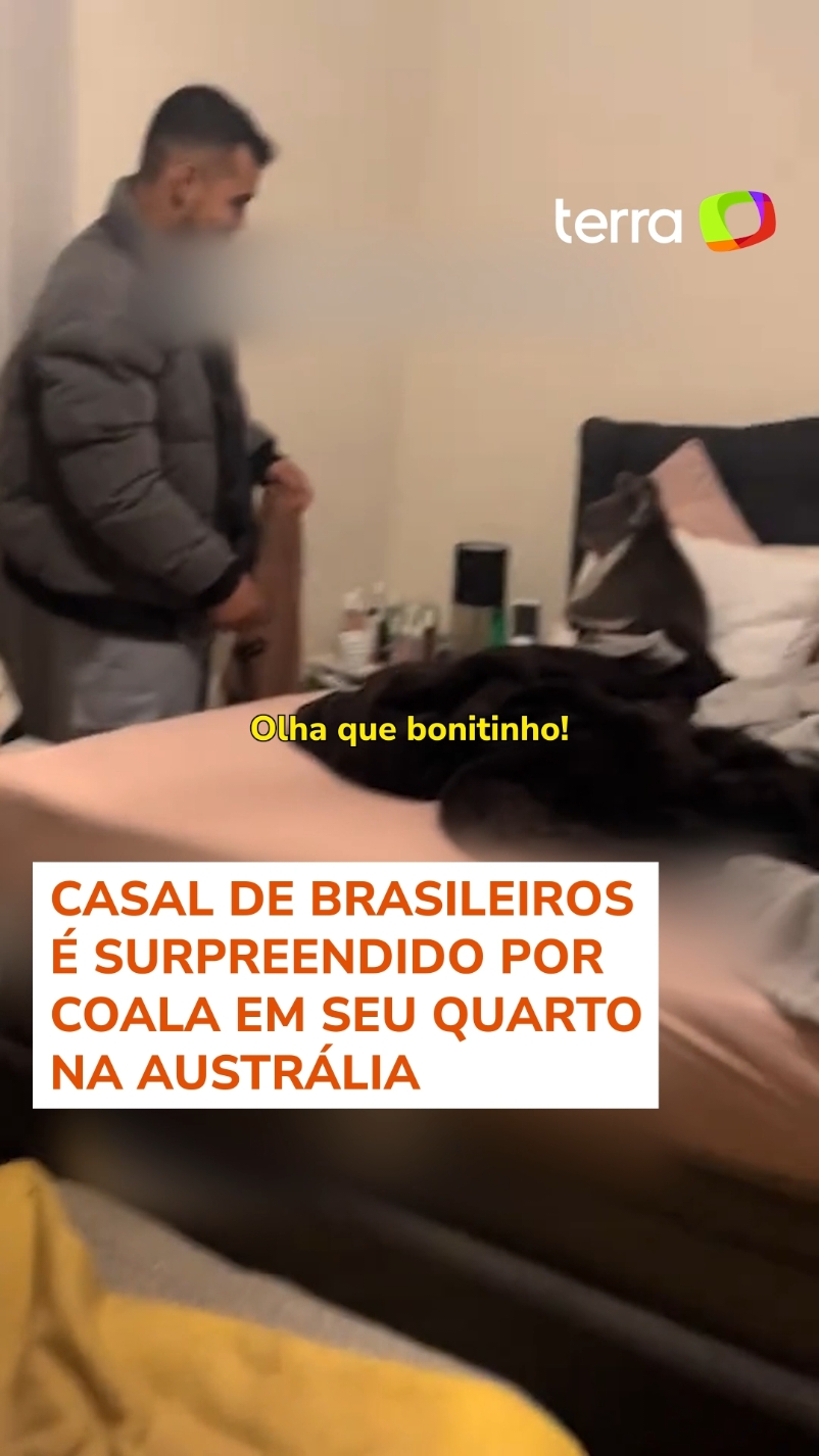 Visita inesperada 🐨👀 Fran (@frandiasrufino) e Brunno Rufino, um casal de brasileiros que vive na Austrália, levou um susto ao chegar em casa e se deparar com um coala dentro do quarto. O vídeo divertiu os internautas e já soma mais de 49 milhões de visualizações no TikTok. #TerraBrasil #TerraPlanetaESG  #TerraNotícias #Austrália #Brasileiros #Coala #Animais #AnimaisSelvagens #Susto #Viral #TikTokNotícias 