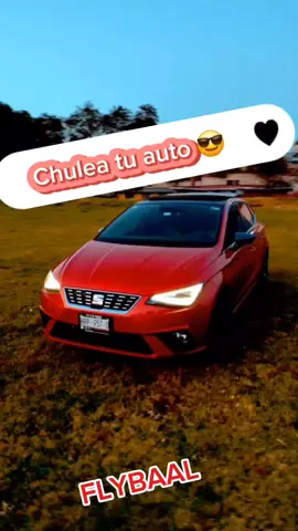 Una edición para mi amigo y su bonito auto, cotiza uno para ti 😎 #seat #ibiza #realdelmonte #flybaal 