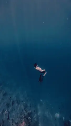 Dive with a smile 😅.                                🎥@Coach Pilyo                                 🎨Me.                                                          #freedive #freediving #dive #underwater #underwaterphotography #underwatervideo #gopro #gopromax #capcut #quik #awra #brunomars #ladygaga #diewithasmile 