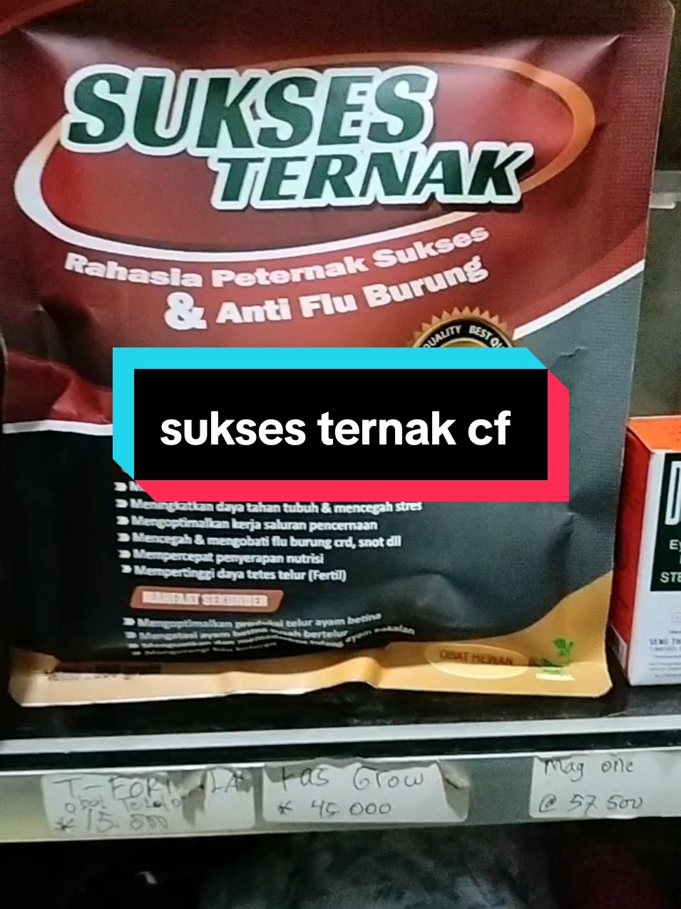 sukses ternak cf untuk ayam dan unggas 