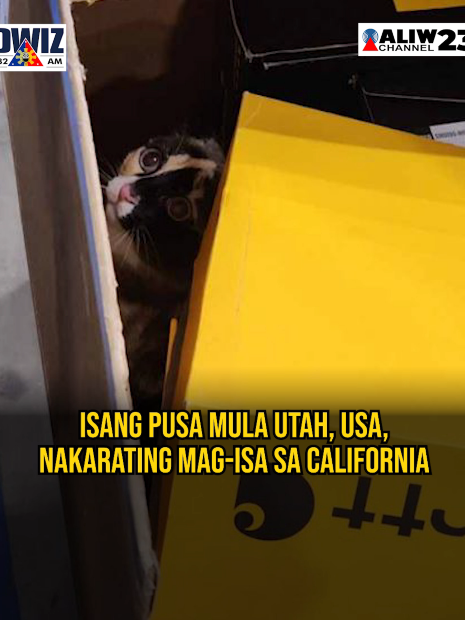 #DWIZRESEARCHREPORT | Isang pusa mula Utah, USA, nakarating mag-isa sa California! Kung anong pag-aalala ng cat owner na si Carrie nang madiskubreng nawawala ang kaniyang alaga, ay siya ring gulat niya nang malaman na nakarating pala ito sa isang lugar na milya-milya ang layo sa kanila. BASAHIN: https://www.dwiz882am.com/?p=514910 YouTube: www.youtube.com/@DWIZ882Live #dwiz #dwiznews #aliw23 #trivia