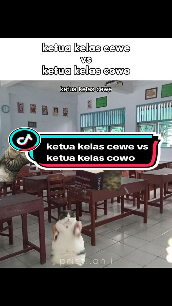 SEMUANYA DIAM!!😠 #memekucing #meme  ib: @hansenvendiagus14 