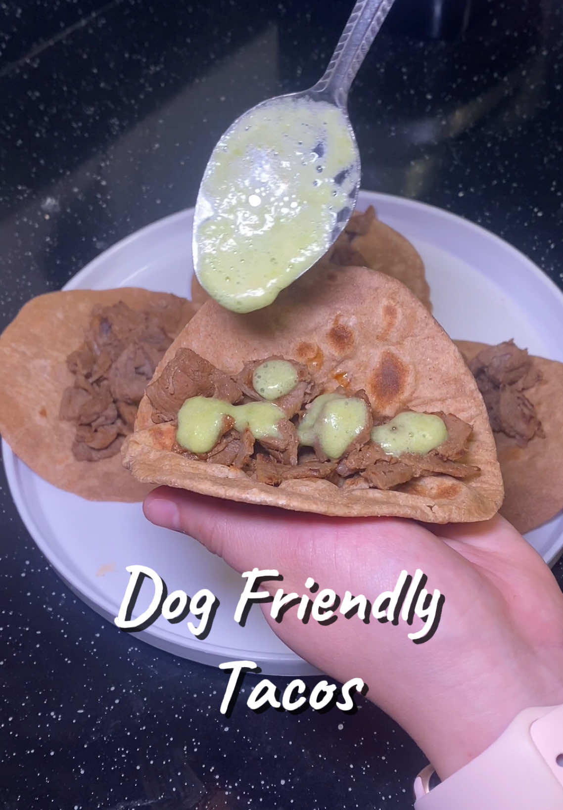 Taco Tuesday 🌮 #dogsoftiktok #dogsoftiktokviral #dogvideo #dogfood #perrostiktokers #perrostiktok