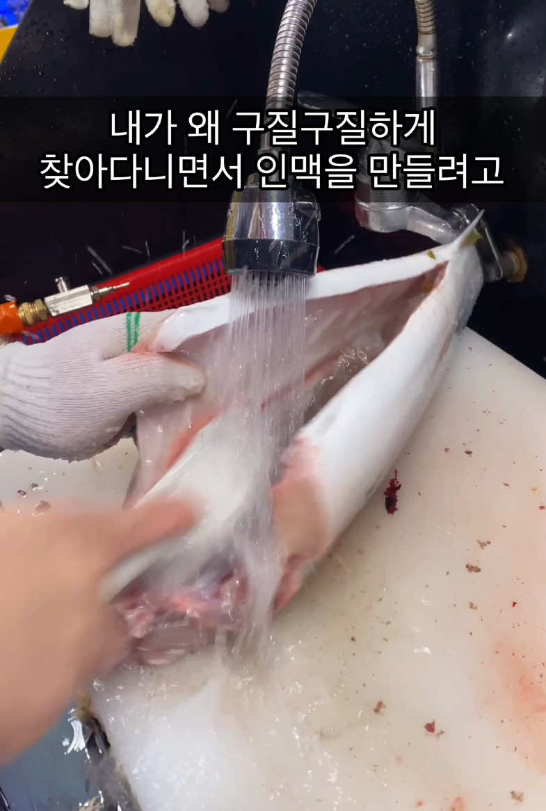 대방어 전문점 입니다😂 항상 여러분이 아끼주시고, 성원해주시고, 후원해주시고,  격려해주시고,  보태해주시고,  위로주시고, 염려해주시고, 근심해주시고, 걱정해주시고,  사랑해주시고,  은혜를 내려주시고,  신경을 써주시고,  배려해주시고,  두루두루 보살펴 주시고, 용기를주시고, 희망을 주시고, 또 이렇게 찾아와주시고, 지원금도 주시고,  후원금도 주시고,격려금도 주시고,  계 탄 것도 주시고,  일수돈도 주시고,  찾아와주시고, 비싼 것도 드셔주시고, 그렇게 많이 도와주셔서  잘 크고있는 보람이네 입니다 큰 사이즈의 대방어 납품은 저희도 주말에만 받을수잇어서 대부분 노량진처럼 지나가는 지하철역이 영흥도역이 없고 연안부두처럼 버스노선이 많아서 스쳐지나가며 오메가메 눈에 밟히는 지역이 아니다보니 영흥도에 놀러오시는 분들에 한해서만 판매가 이루어지다보니 제약이 좀 있습니다😢 평일은 일반 활어를 판매 중입니다 딱 못맞춰드려서 죄송합니다😅😢😭 전날 연락 주시면 중방어 들여놓을까 생각 중입니다 퀄리티를 위해 일산 중방어 입고 예정 중이니 참고해주시면 좋을것같습니다 오늘도 감사합니다 #영흥도맛집 #보람이네 #정진 #대방어맛집 