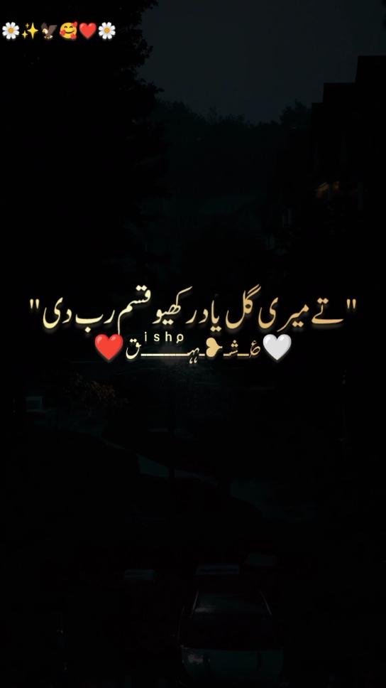 just poetry 🤟🤍👆#foryou#foryoupage#fyp #fypシ #moosa0096 #anilamalik928 