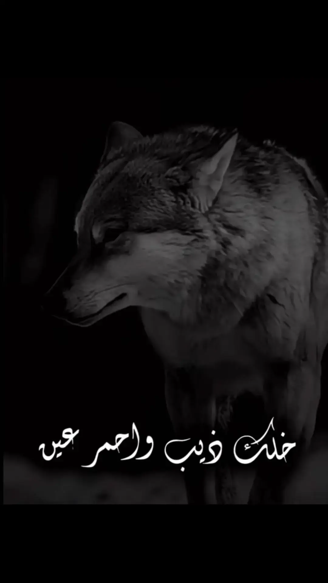 #احزاني_لن_ولم_تنتهيdeaa💔😭 #خليك ذيب واحمر عين ولا تصير طيبه ومسكين#مصمم_فيديوهات🎬🎵❤👑 