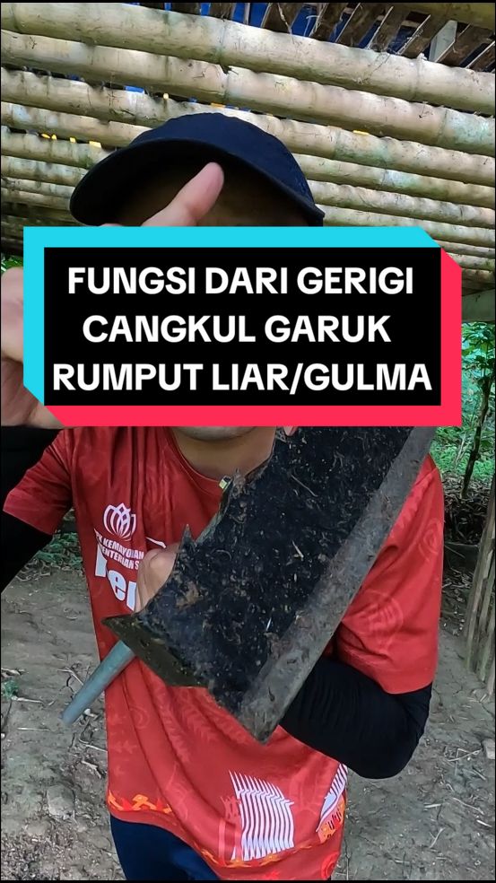 Membalas @chail83 Fungsi Dari Gerigi Cangkul Garuk rumput ini hanya pelengkap saja tanpa disengaja dibuat tapi tetap bisa berfungsi ya #cangkul #cangkulgaruk #cangkulgarukrumput #bersihingulma #gulma #garukgulma 