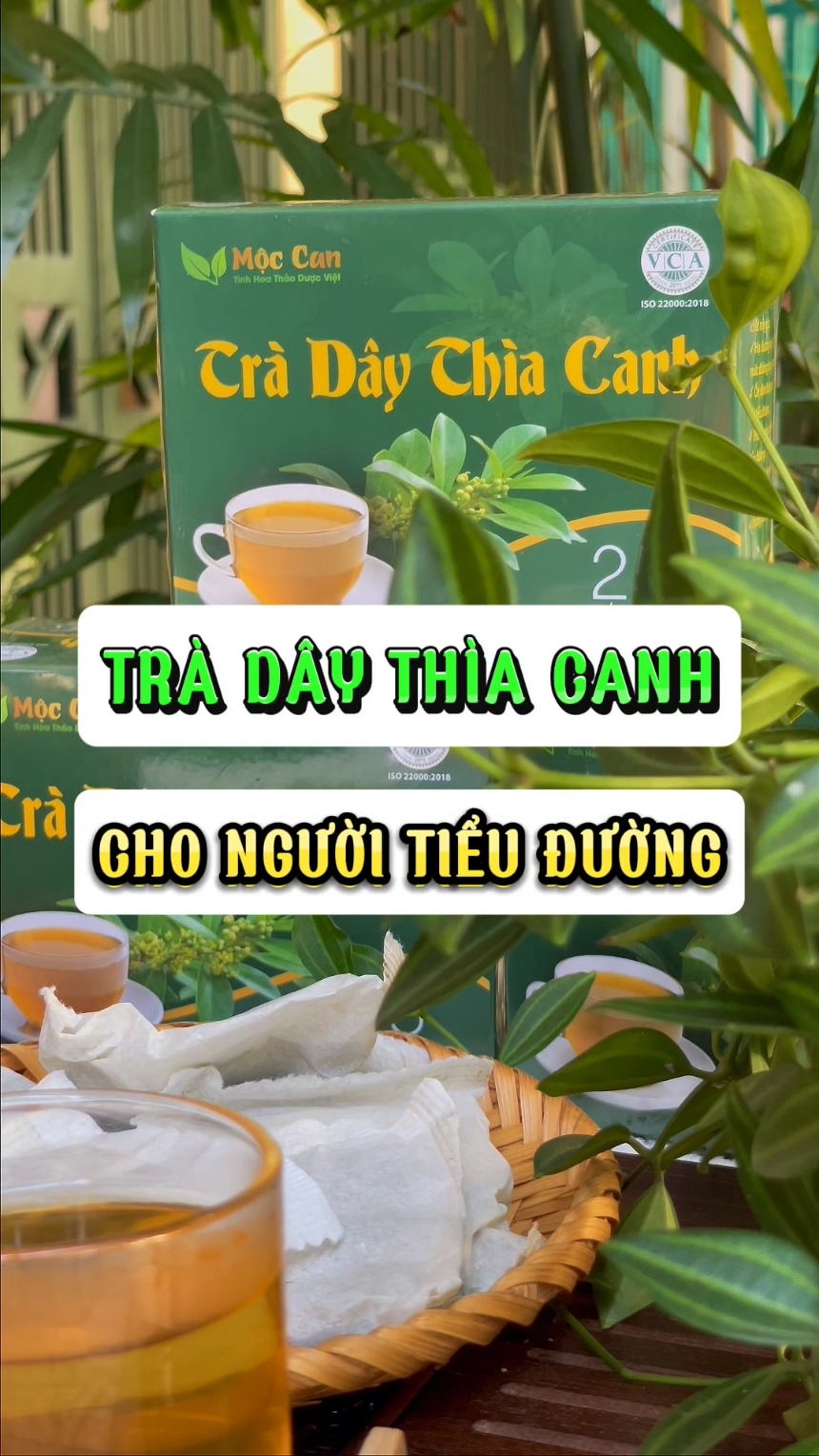 Trà hỗ trợ hạ và kiểm soát đường huyết hiệu quả cho người tiểu đường #tradaythiacanhmoccan #vienthiacanhmoccan #haduonghuyet #moccan #suckhoe247 #suckhoechomoinguoi #tradaythiacanh 