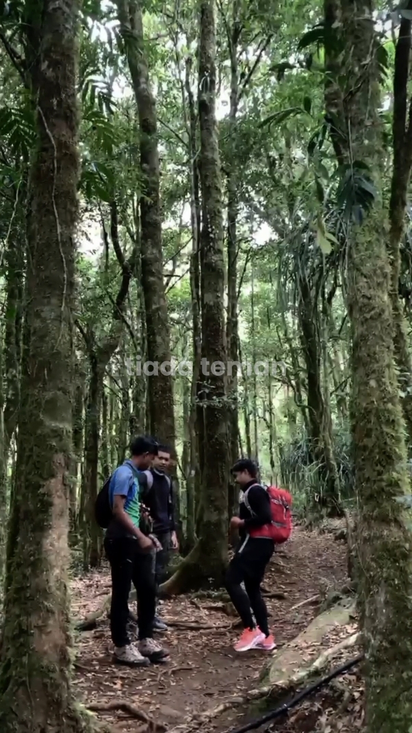 alam takkan kemana, kita bisa saja kembali ke tempat yg sama tetapi tidak dengan suasana, pengalaman dan pelajaran yg sama. #CapCut #bugispride🏝️🔥 #pendakigunung #bulubialo 