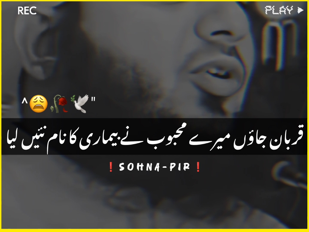 بیماری سے فوت ہونے والے کو شہادت کا درجہ ✨🥰 #foryouu #ajmalrazaqadri #1maudition #status #viral_video 