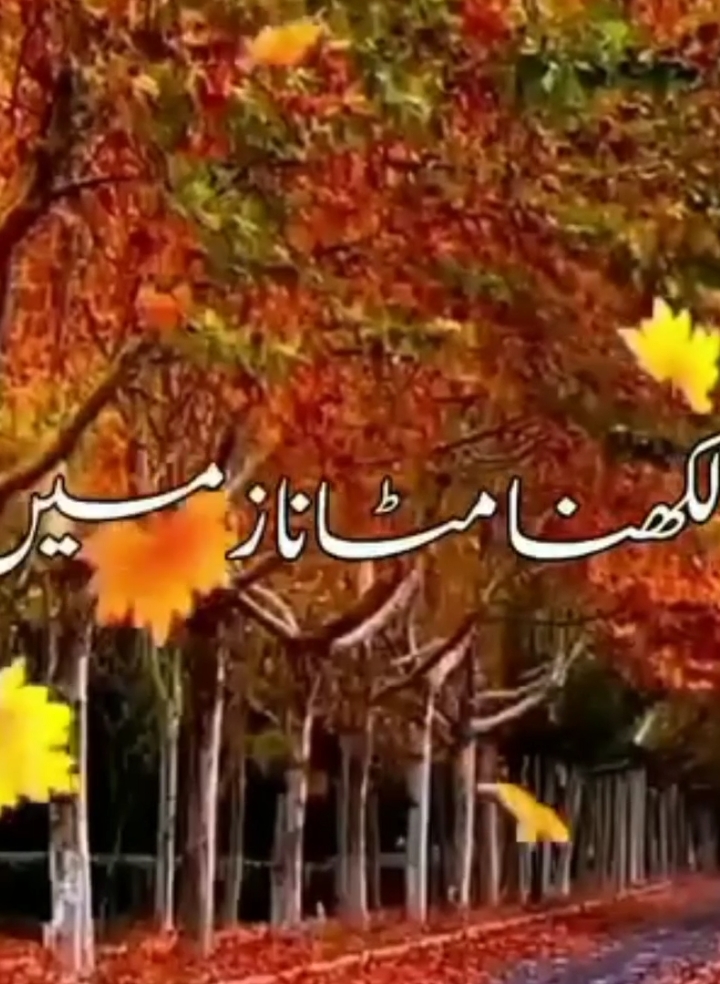 🌸🌸نام لکھنا مٹانا زمیں 🌸🌸