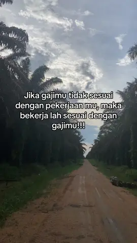 🔥#sawitkalimantan🌴🌴🇮🇩 #LIVEFest2024 #fyppppppppppppppppppppppp #krani #kerja 