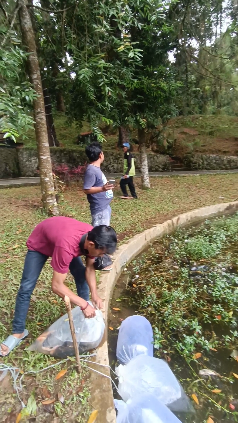 liburan di villa puncak gratis mancing 24 jam😁😁#villapuncak #fyppppppppppppppppppppppp 