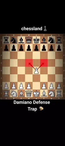 Damiano Defense Trap#chessman #chesstok #chess #fyp #chessmate 