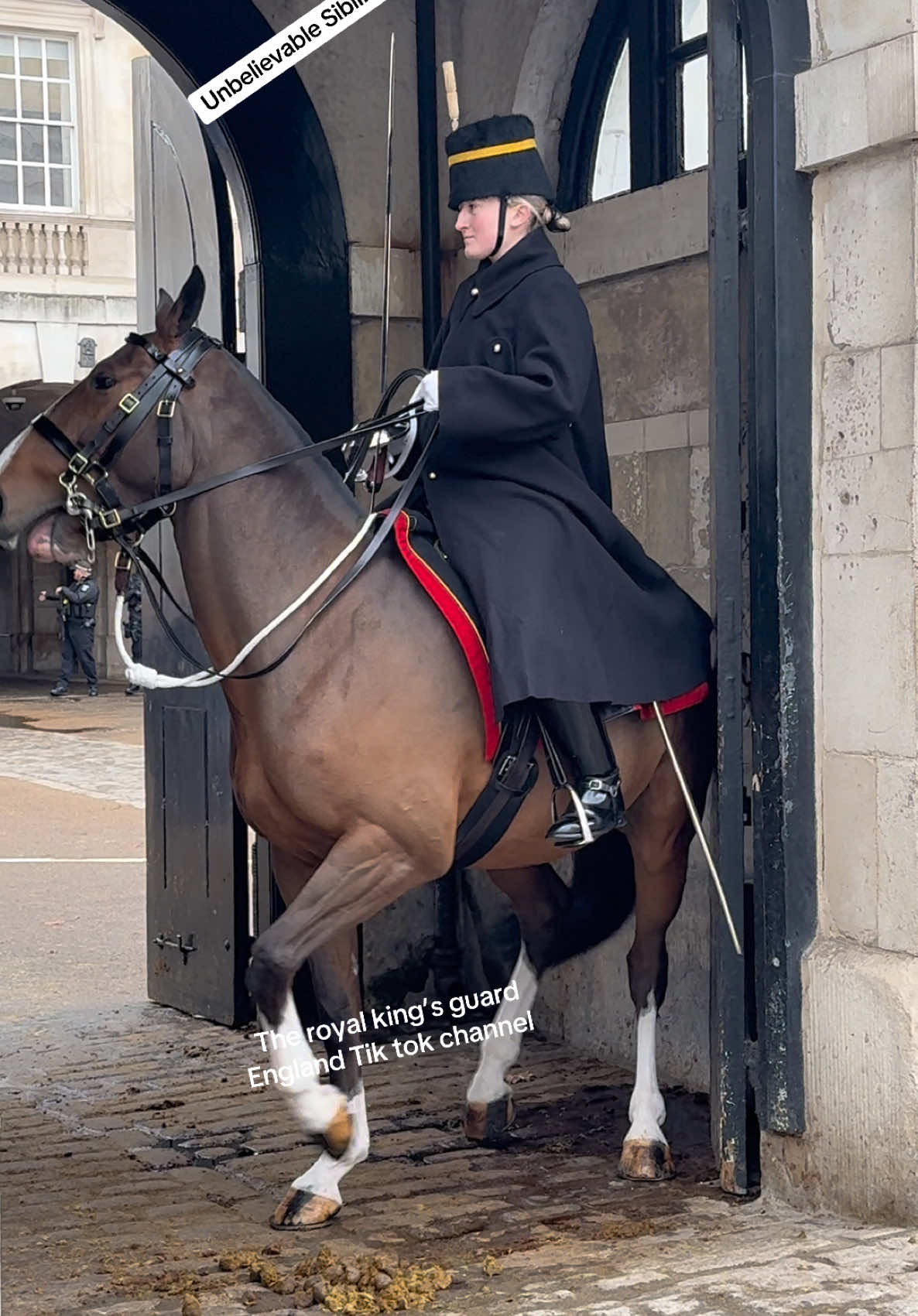 Sibling Bond: A Unique Encounter at Horse Guards