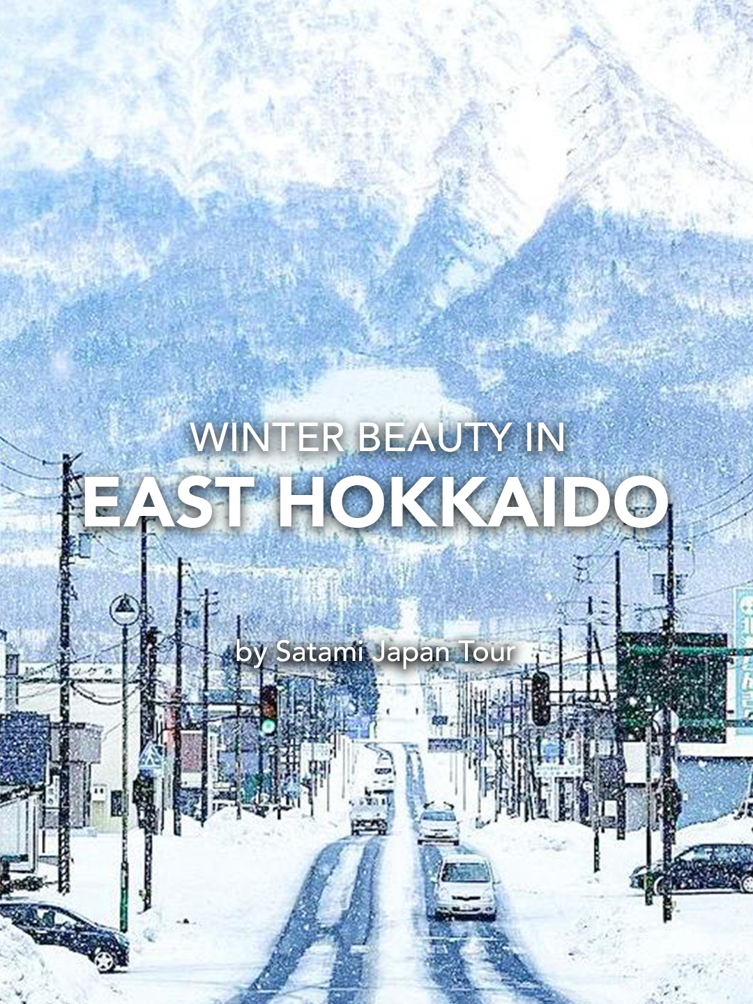 WINTER BEAUTY IN EAST HOKKAIDO ⛔️IMPORTANT INFO : The places in our videos are only could be seen and booked from MID JANUARY - EARLY MARCH”⛔️ 💢Only for WINTER ICE FESTIVAL HOKKAIDO💢 before and after this time, NO GUARANTEE available ❌  Make sure to explore East Hokkaido and visit these places in a right time 1. Abashiri - Ice Breaking Cruise 2. Shiretoko Peninsula - Ice Diving 3. Lake Kussharo - Swan Lake 4. Kussharo - Outdoor Hot Spring 5. Kushiro - SL Fuyu train 6. Otaru - Lantern Festival 7. Furano - Ningle Terrace 8. Lake Akan - Winter Festival You can book your East Hokkaido trip with us! Just click the link on Bio, and select “Day Trip”. (No DM🚫) instagram : satamijapantour website : www.satamijapantour.com contact : link on bio instagram Avaliable services : - Booking Trip - Ticket/ Attractions - Visa - Kimono/ Photographer - Reserve restaurant - Booking Hotel . . . . . . . . . . . . . . . #turjepang #japantour #privatetourjapan #japantravel #tourguidejepang #daytrip #privatetour #abashiri #mountyotei #lakekussharo #onsen #kusshiro #lakeakan #fireworks #asahikawa #asahikawaicefestival #otaru #otarufestival #nigleterrace #furano #sewamobiljepang #satamijapantour #turguidejepang