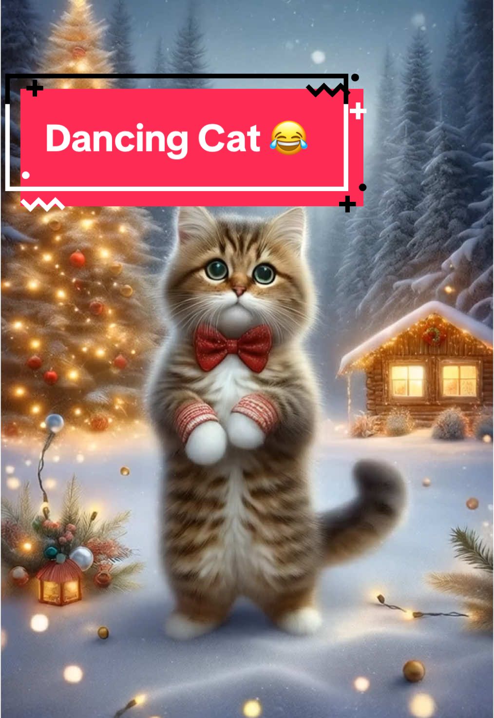 Little Joke Video for inbetween. 😂 #catdancing #cat #trendingvideo 