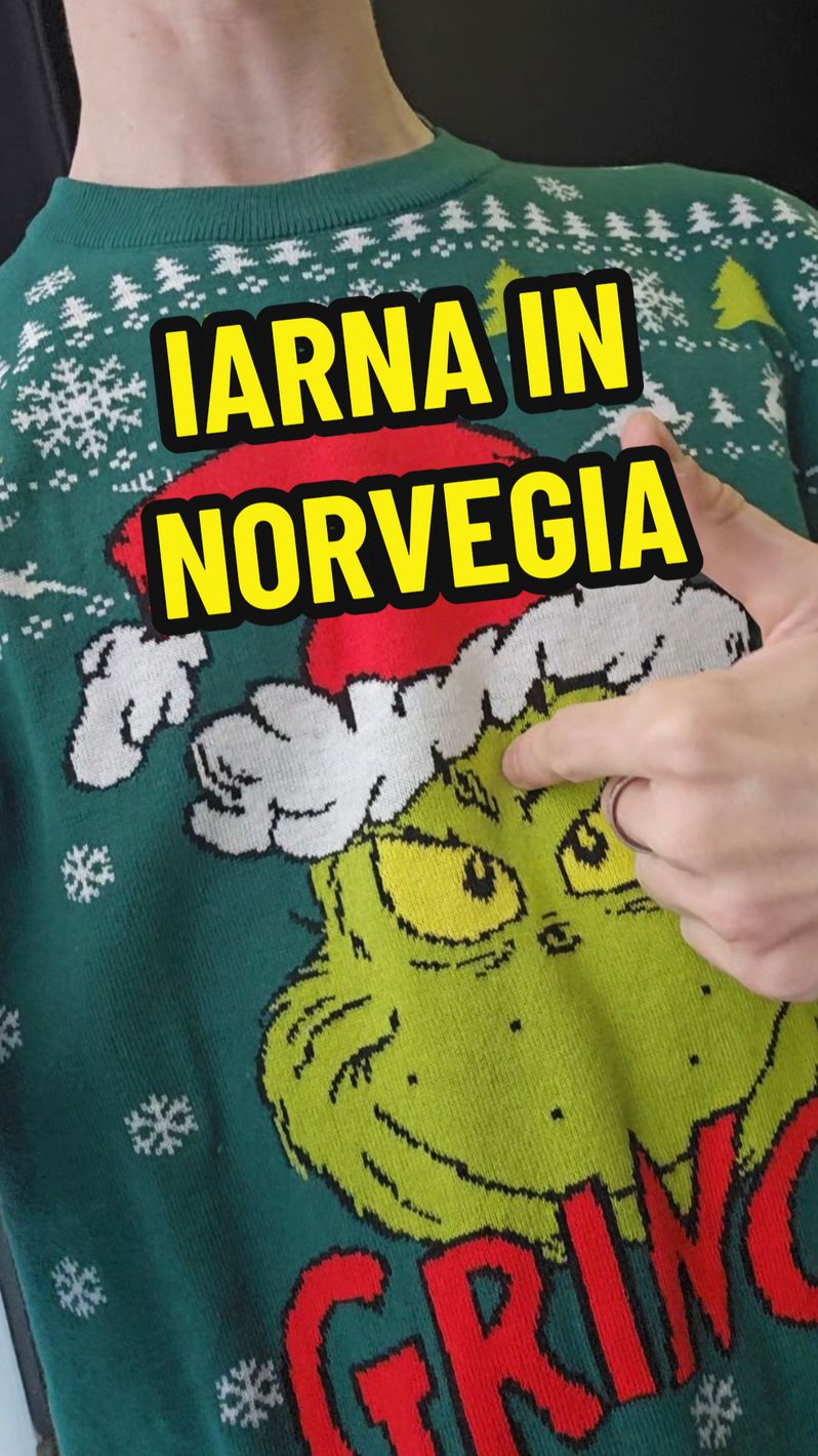 Replying to @lucianmatei1969Cam asta faci👍 #norvegia #flavizzio #iarna 