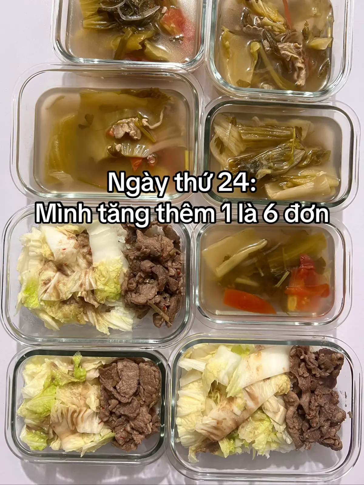 Ngày thứ 24: Hành trình tập nấu ăn và bán cơm của mình. Thứ 5, thứ 6 tuần này mình sẽ không nấu. Nấu cho rất nhiều người nhưng từ lúc biết nấu ăn đến giờ mình chưa nấu cho 3 mẹ và ngoại được bữa nào. Mình nghỉ nấu vài hôm, về quê để nấu cho những người thân yêu quý của mình nè. Sang tuần mình có mở thêm 3-5 đơn mới, tổng sẽ là 8-10 đơn nhenn #nauan #ancungtiktok #xuhuong 