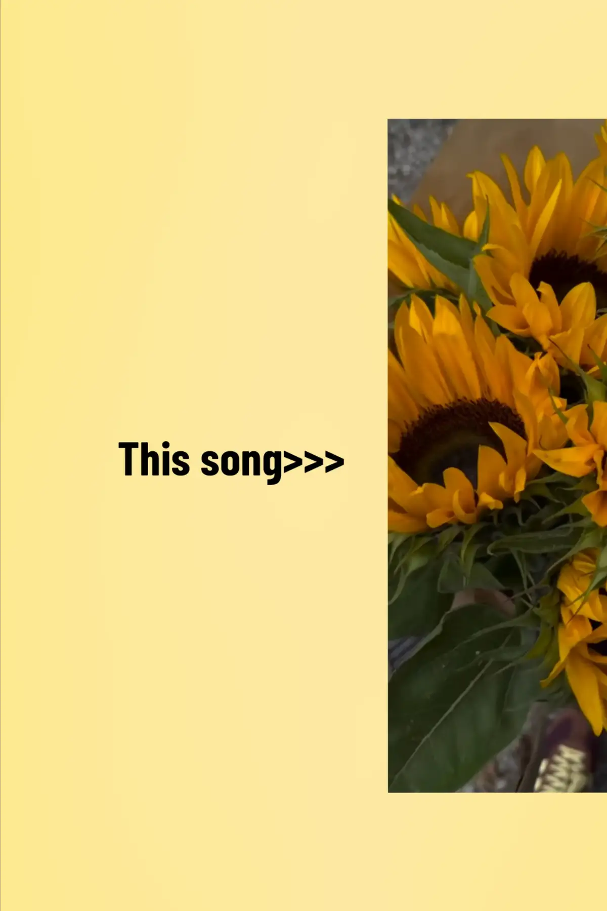 #เหมือนที่เราฝัน #cherile #สตอรี่_ความรู้สึก😔🖤🥀 #เธรด #thissong #song #fyp #ฟีดดดシ #foryou #เธรดเศร้า #เพลงใหม่มาแรง 