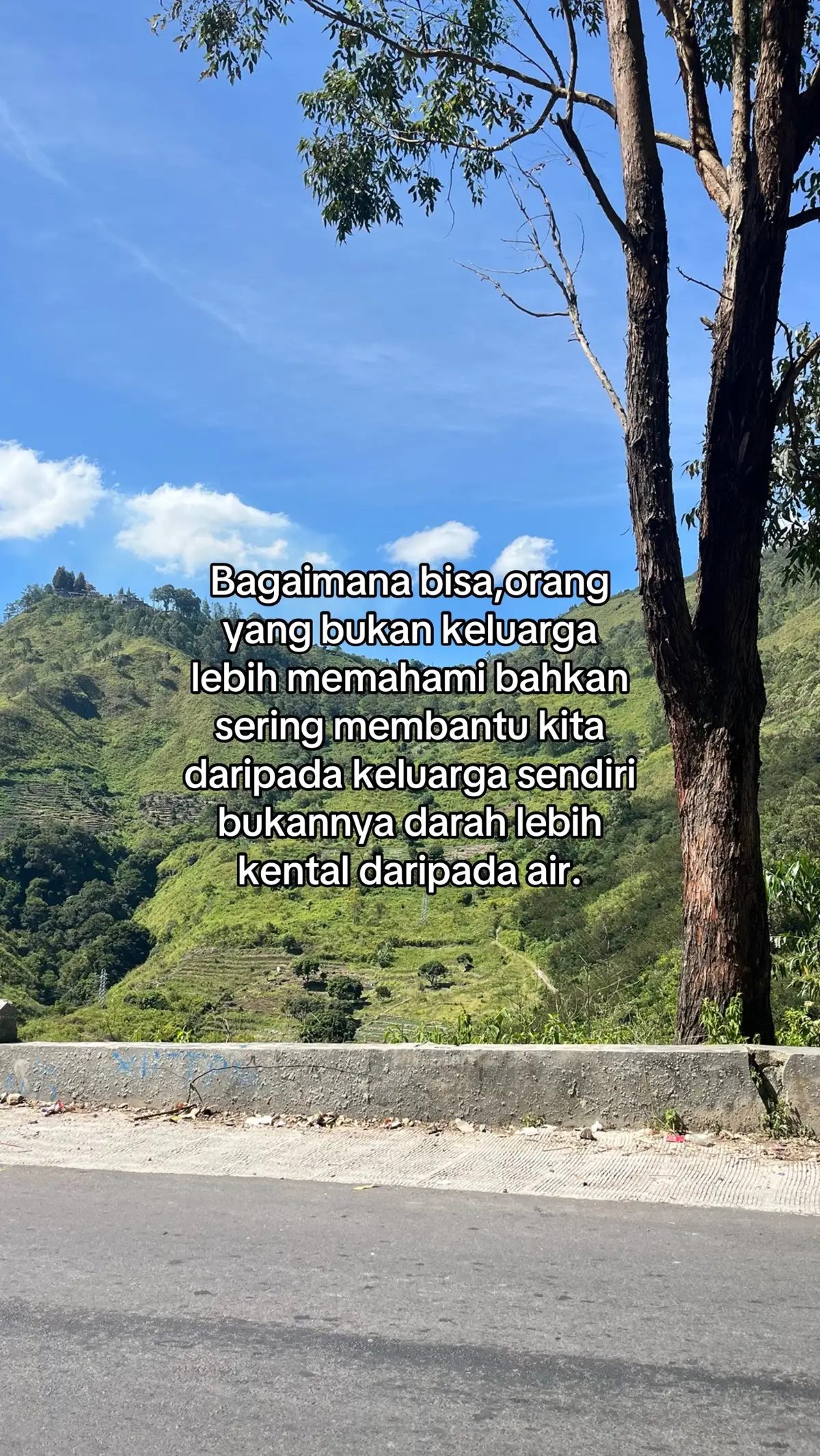 #sadstory #storytime #storywa #katakata #motivasihidup #motivasidiri #galaubrutal #ruangcerita🥀 #ruanggalau #sad #patahhati #luka #kecewa #fypage #fy #foryou #keluarga #saudara #silaturahmi #memahami #salingbantu #kebersamaan #fyp #foryoupage #hubungan #orangtua #mertua #ipar #adikkakak #4upage #xybca #kakakadik #masukberandafyp #lewatberanda #kehidupan #rumahtangga #hidup #perempuan #anakpertama #tulangpunggung #kerjakeras #perjuangan #sakithati #sadvibes #vibess #katabijak #sedarah #darah #kuat #bertahan #qoutes #xyzbca #jemimah #kamutaksendiri #4u 