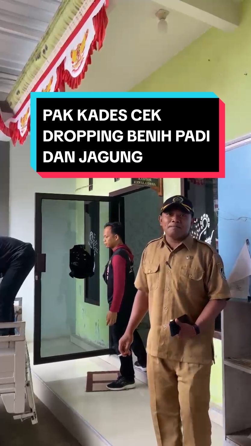 PAK KADES CEK DROPPING BENIH PADI DAN JAGUNG PROGRAM KETAHANAN PANGAN DESA TAMBAKREJO. #kades #kadestambakrejo #kadesnanang #kadesmuda #kadesviral #kadesgaul #banyuwangi #muncar #ketahananpangan #swasembadapangan #danadesa2025 #prabowo