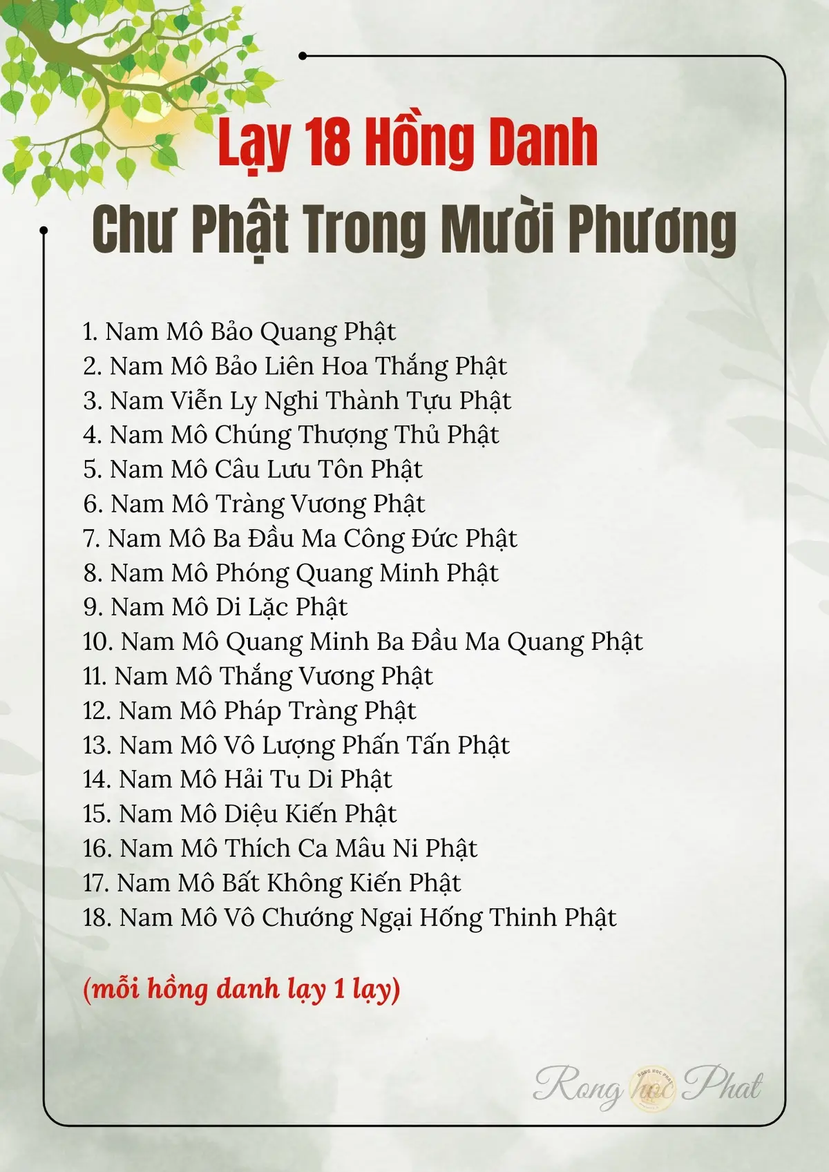 A Di Đà Phật. #Rồng_học_Phật #gieoduyenphatphap #phậtphápnhiệmmàu #phậtpháp #phuoclanh #huuduyen #tutaptaigia #hocphatmoingay 