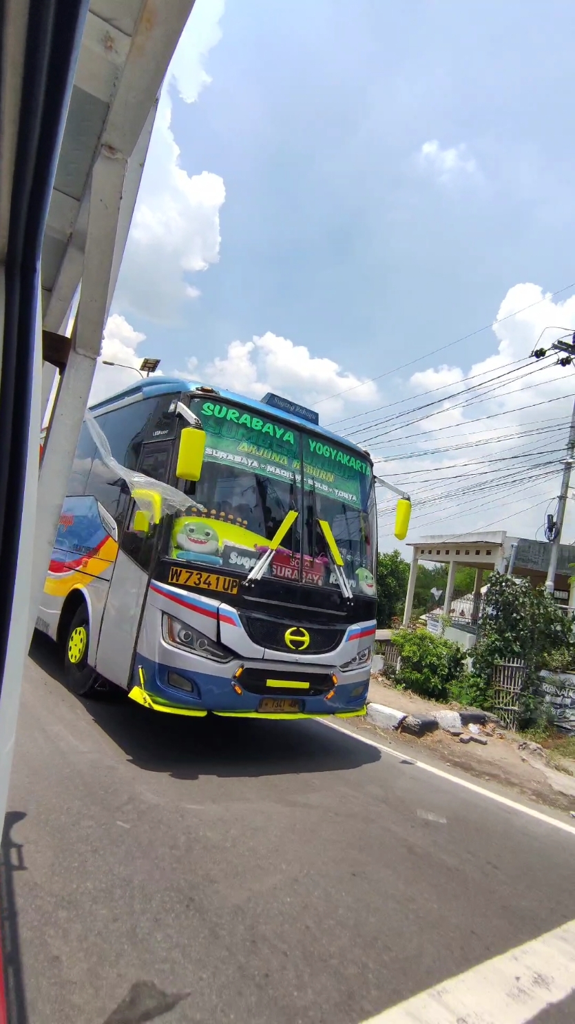 inisial coklat🫵🏻😭 • • #bus #busmania #busmaniacommunity #busmaniaindonesia #sugengrahayu #sumberselamat #sumbergroup #sumbergrouplovers🤗🐬 #arjuna #w7341up #fyp #fypシ #beranda 