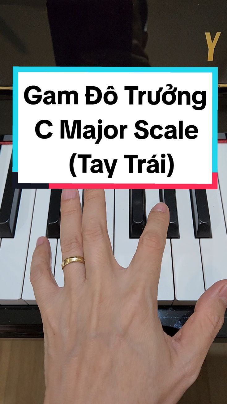 Gam Đô trưởng - C Major Scale (Tay trái) #tuhocpiano #tuanluupiano #youtubetuanluupiano 