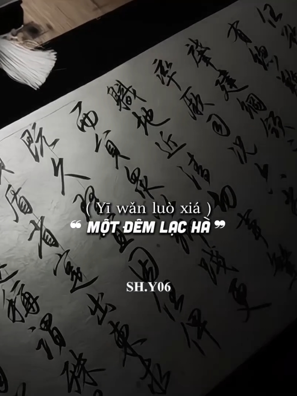 ╰┈➤Từ Hoa -Nhất Khỏa Lang Tinh / 辞花  _____________________________ #chinesemusic #nhactrungquoc #nhactrungdouyin #nhactrunghaynhat #từhoa #nhatkhoalangtinh #lyrics #xuhuongtiktok 