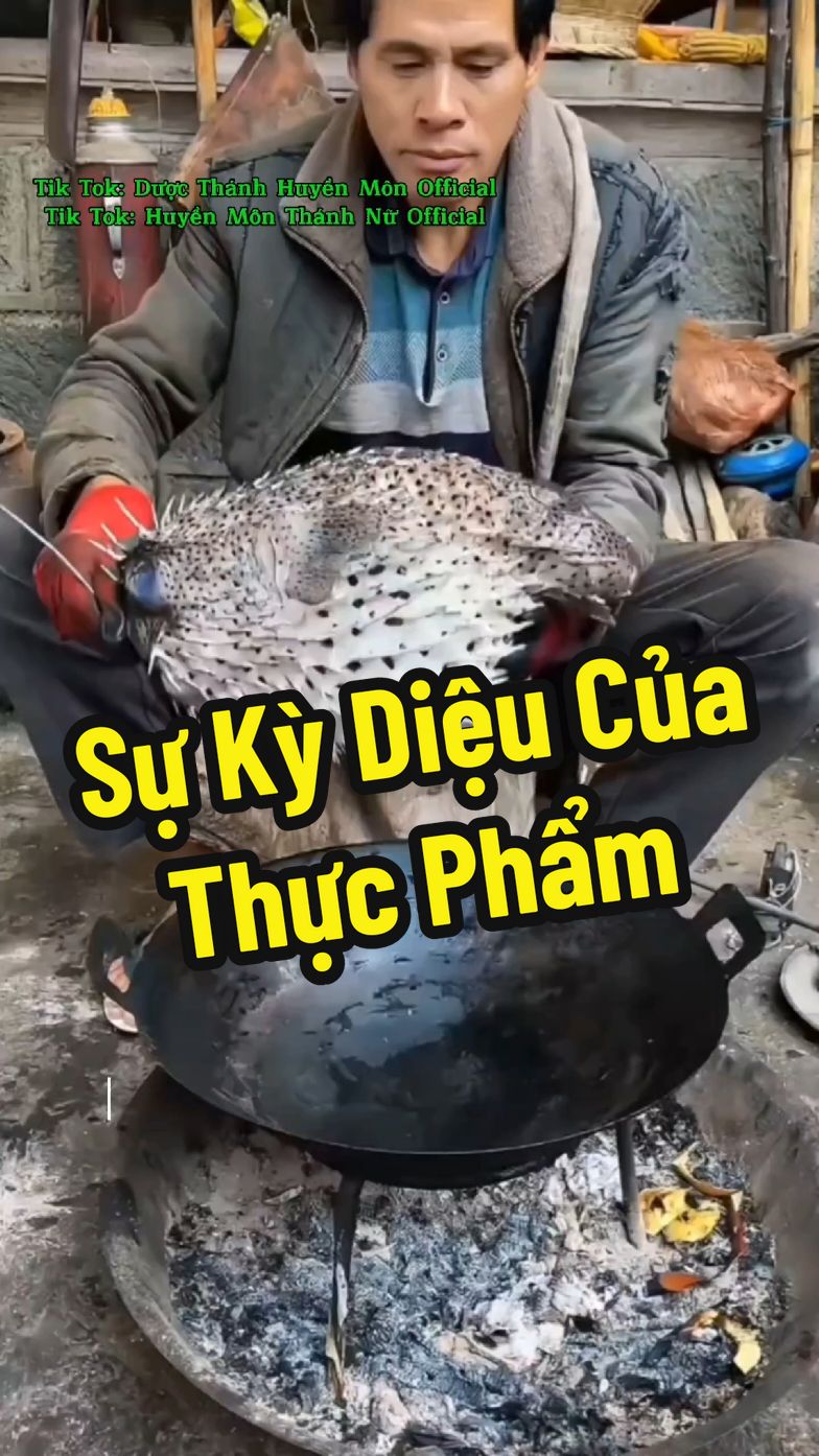 Bạn đã biết sức mạnh của những Thực Phẩm này mạnh đến mức nào chưa? #duocthanhhuyenmon #huyenmonthanhnu #thienythanhthu #quycoctiensinh #suckhoecongdong 